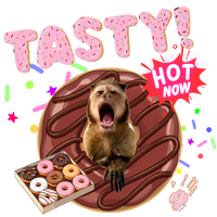 Gaitlyn Rae Hot & Now Tshirt BACK DESIGN