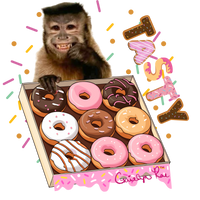 Gaitlyn Rae Tasty Donut Long Sleeve T-Shirt