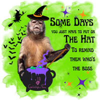 Gaitlyn Rae Some Days Hat Long Sleeve Tshirt