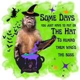 Gaitlyn Rae Some Days Hat Long Sleeve Tshirt