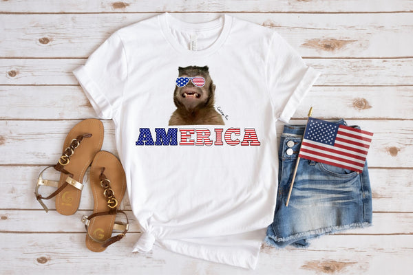 America Fourth of July Shirt/Tank