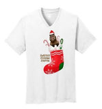 Stocking Stuffer Short Sleeve Tee V-NECK